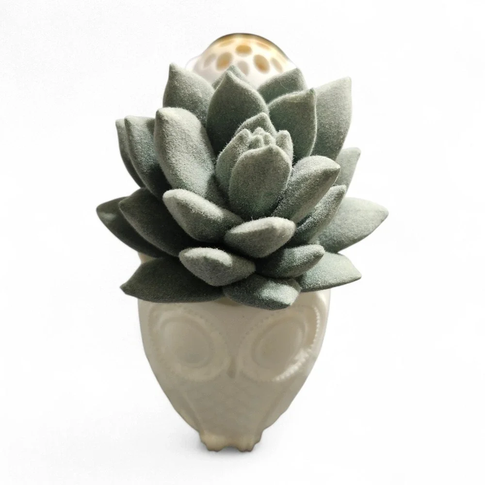 Bath & Body Works Wallflowers Fragrance Plug Snail Succulent White Green Decor